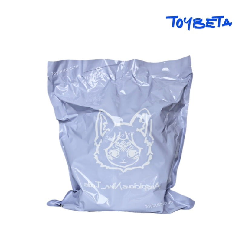 Fu You Nine-Tailed Records V1 Series Plush Blind Box