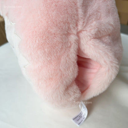 【Limited in Beijing】POPLAND & PTS Hot Sale Items