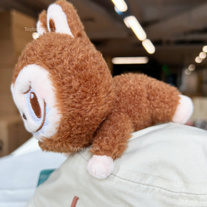 【Limited in Beijing】POPLAND & PTS Hot Sale Items