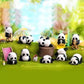 Panda Roll Daily Series 1