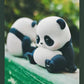 Panda Roll Daily Series 1